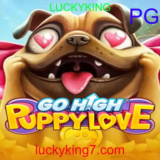 GoHighPuppyLove